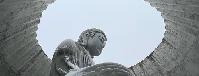 真駒内滝野霊園 is one of reminiscence.