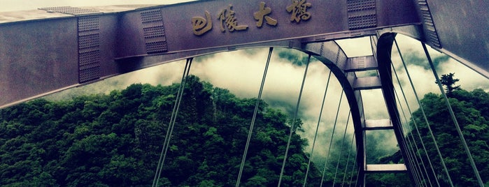 巴陵大橋 is one of TAOYUAN.