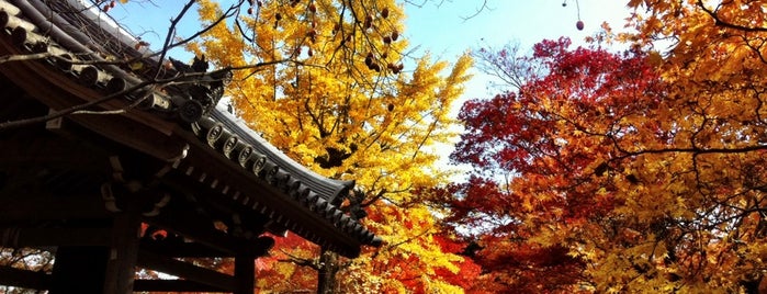 小倉山 常寂光寺 is one of 京都（右京区・嵐山）.