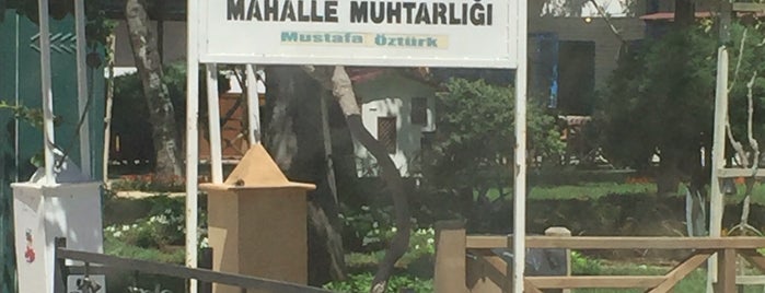 Deniz Mahallesi Muhtarlığı is one of Posti che sono piaciuti a Emine Ürger.