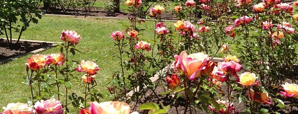 The 15 Best Gardens In San Francisco