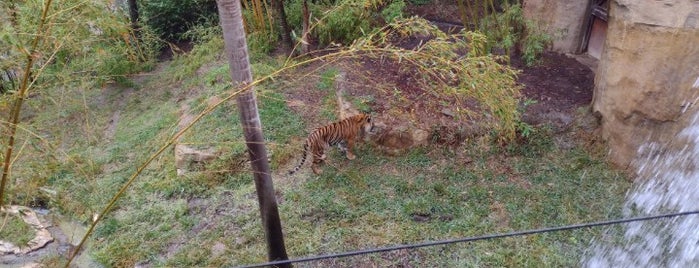 Tiger Trail is one of San Diego.