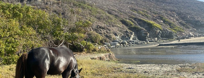 Playa de Las Palmas is one of Todos Santos.