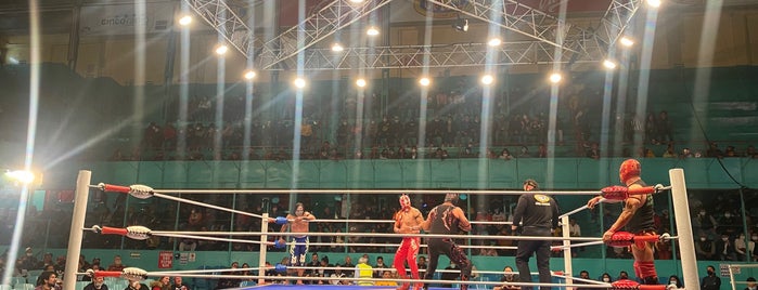 Arena Puebla is one of VISITADOS.
