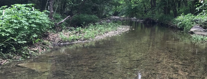 West Bouldin Creek Greenbelt is one of B 님이 좋아한 장소.