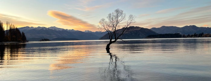 That Wanaka Tree is one of Queenstown.