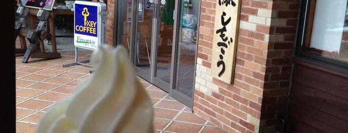 Michi no Eki Shimogo is one of 道の駅1.