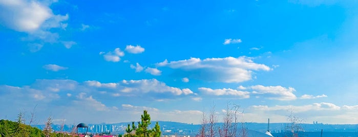 Haydar Aliyev Parkı is one of Ankara.