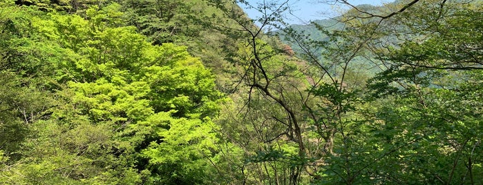 飛竜の滝 is one of 神奈川西部の神社.