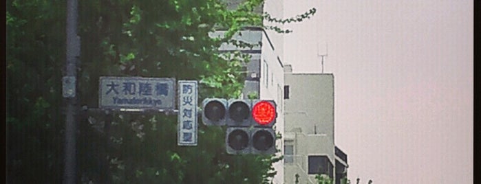 大和陸橋交差点 is one of 環状七号線（環七）.