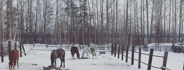 Конное Подворье Егоровых is one of Нск.