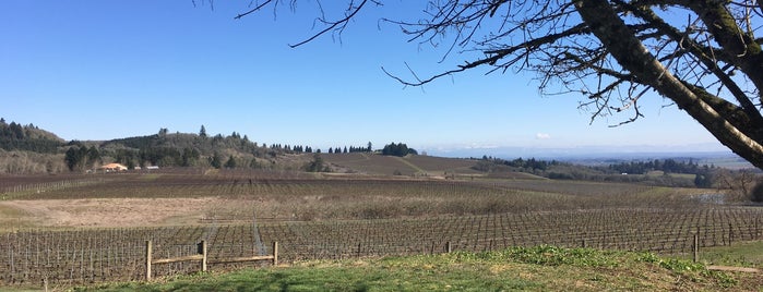 Walter Scott Wines is one of Portland wine country.