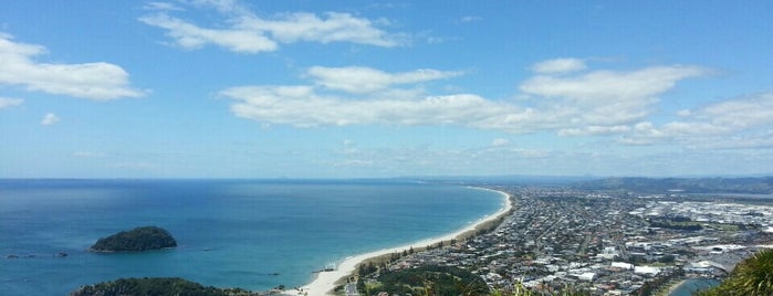 Maunganui is one of NZ.