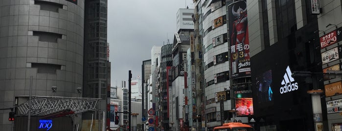 Shibuya Crossing is one of Japan.