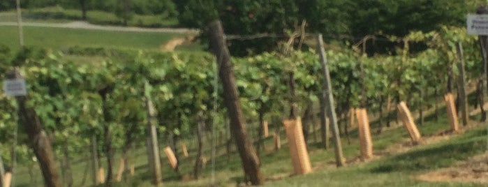 Tennessee Wineries