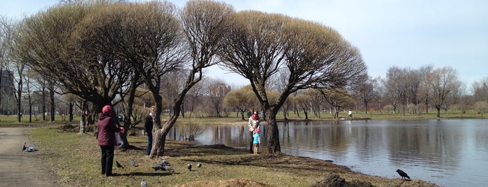 Polyustrovo Park is one of велокраеведение.