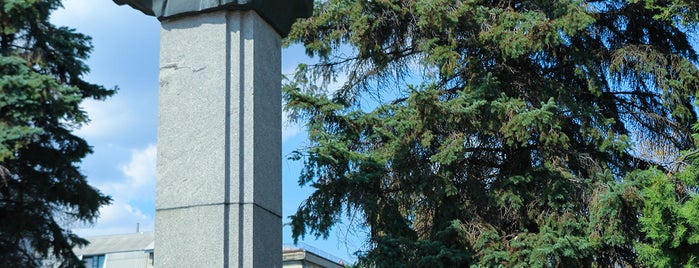 Пам'ятник герою СРСР Бевзу І. В. is one of Вінниця / Vinnytsia.