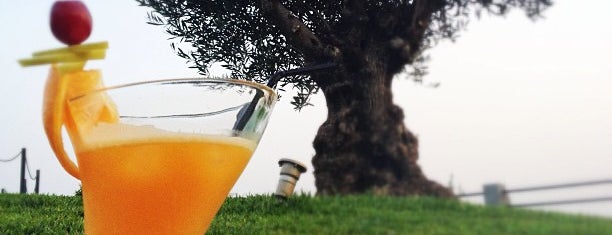 Scat Funchal Jazz Club is one of Madeira.