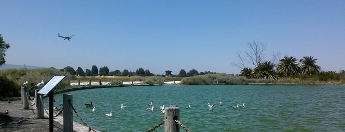 Palo Alto Duck Pond is one of Lugares favoritos de Scott.
