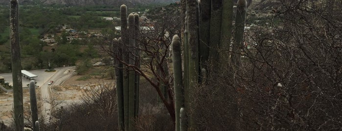 Reserva de la Biosfera Barranca de Metztitlán is one of Locais curtidos por Ale Cecy.