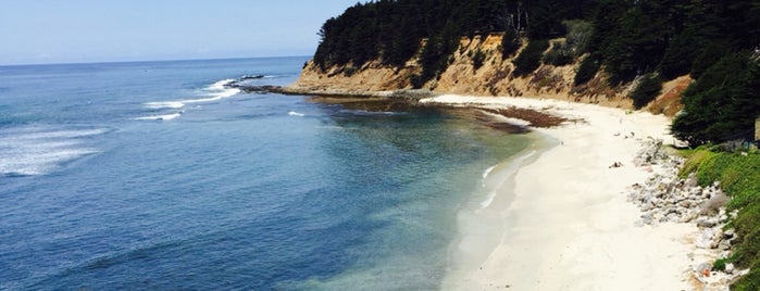 Half Moon Bay Coastal Trail is one of TRAVEL: Bay Area Adventures.