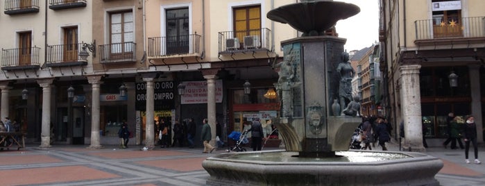 Plaza de la Fuente Dorada is one of Castilla y León.