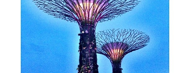 Supertree Grove is one of SINGAPORE.