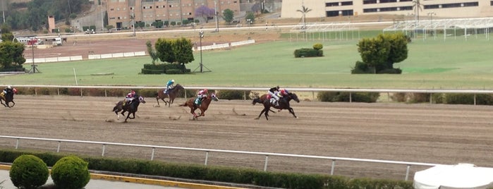 Hipódromo de las Américas is one of lugares que visité.