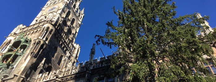 Weihnachtsbaum am Marienplatz is one of Weihnachten.