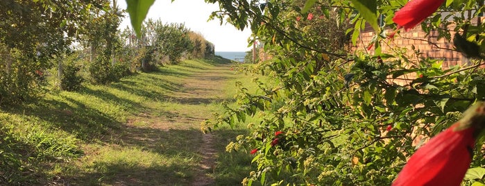 Praia de Jurerê is one of Lieux qui ont plu à Oliva.