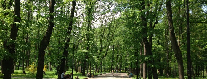 Парк ім. Т. Шевченка / Shevchenko Park is one of Івано-Франківськ.
