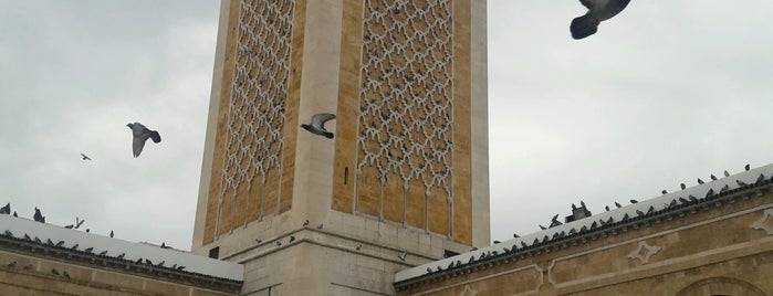 Mosquée Zitouna is one of Mosquée.
