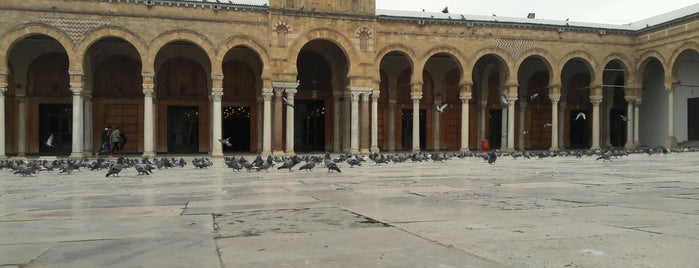 Mosquée Zitouna is one of mosque in Tunis.