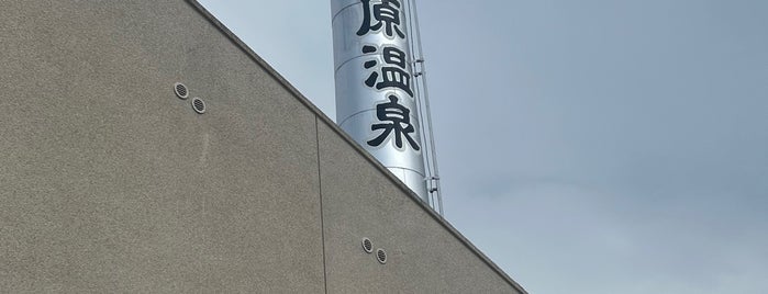 新柏原温泉 is one of 行ったことのある風呂屋.