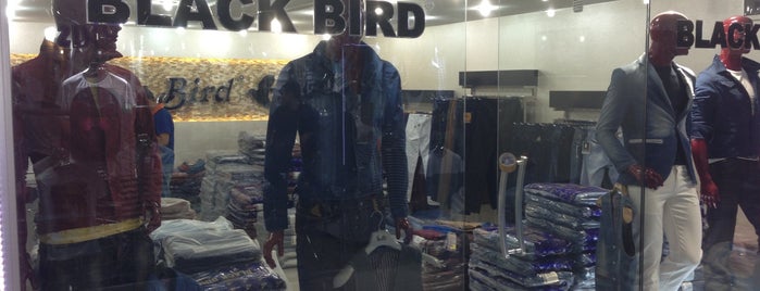 Black Bird is one of iş.