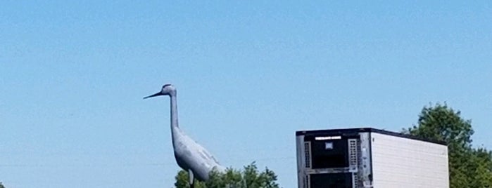 Sandy - The World's Largest Sandhill Crane is one of Weird Museums and Roadside Attractions.