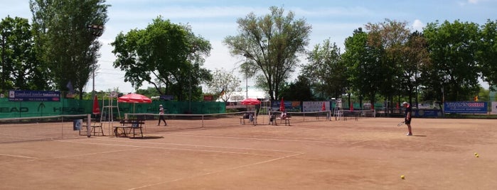 Baza Sportiva Tenis Con Slobozia is one of สถานที่ที่ Flor ถูกใจ.