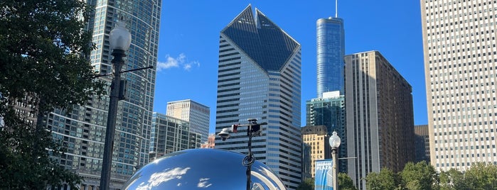 Millenium Park is one of Trav & Laur Chicago.