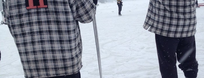 Taylor Cup Pond Hockey Tournement is one of Tempat yang Disukai Ian.