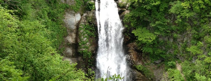 秋保大滝 is one of Miyagi Prefecture.