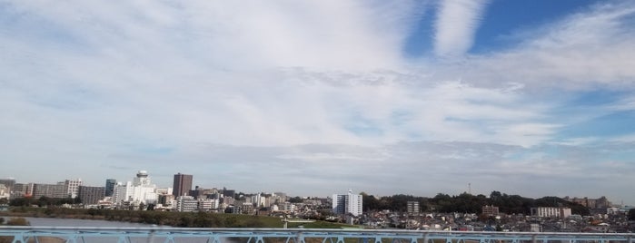外環葛飾大橋 is one of Minami 님이 좋아한 장소.