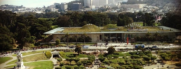 Hamon Education Tower Observation Deck is one of San Francisco Favourites.