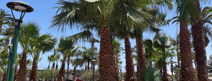 Plaza Vicuña Mackena is one of Arica.