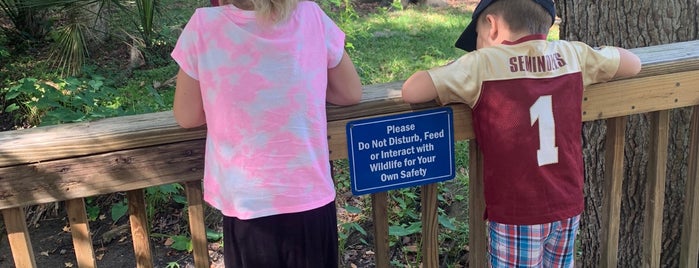Central Florida Zoo Giraffe Feeding is one of Orte, die Andrew gefallen.