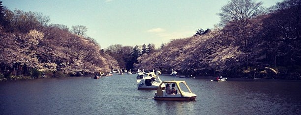 Aquatic Life Park (Lakeside Park) is one of Tokyo.