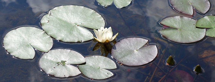 Gamensee is one of Ausflugsziele.