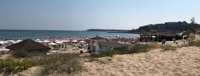 Bar Musai is one of Sunny Beach.