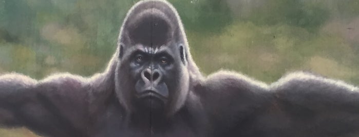 Javksonville Zoo - Ape Exhibit is one of Lizzieさんのお気に入りスポット.