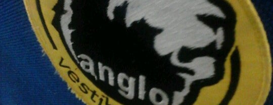 Anglo is one of Robertoさんのお気に入りスポット.
