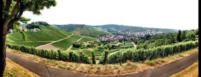 Grabkapelle auf dem Rotenberg is one of Stuttgart 👌.